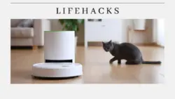 How to Use Robot Vacuum Cleaner Get Optimal Automatic Cleaning in Your Home